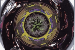 Copy_of_File0001